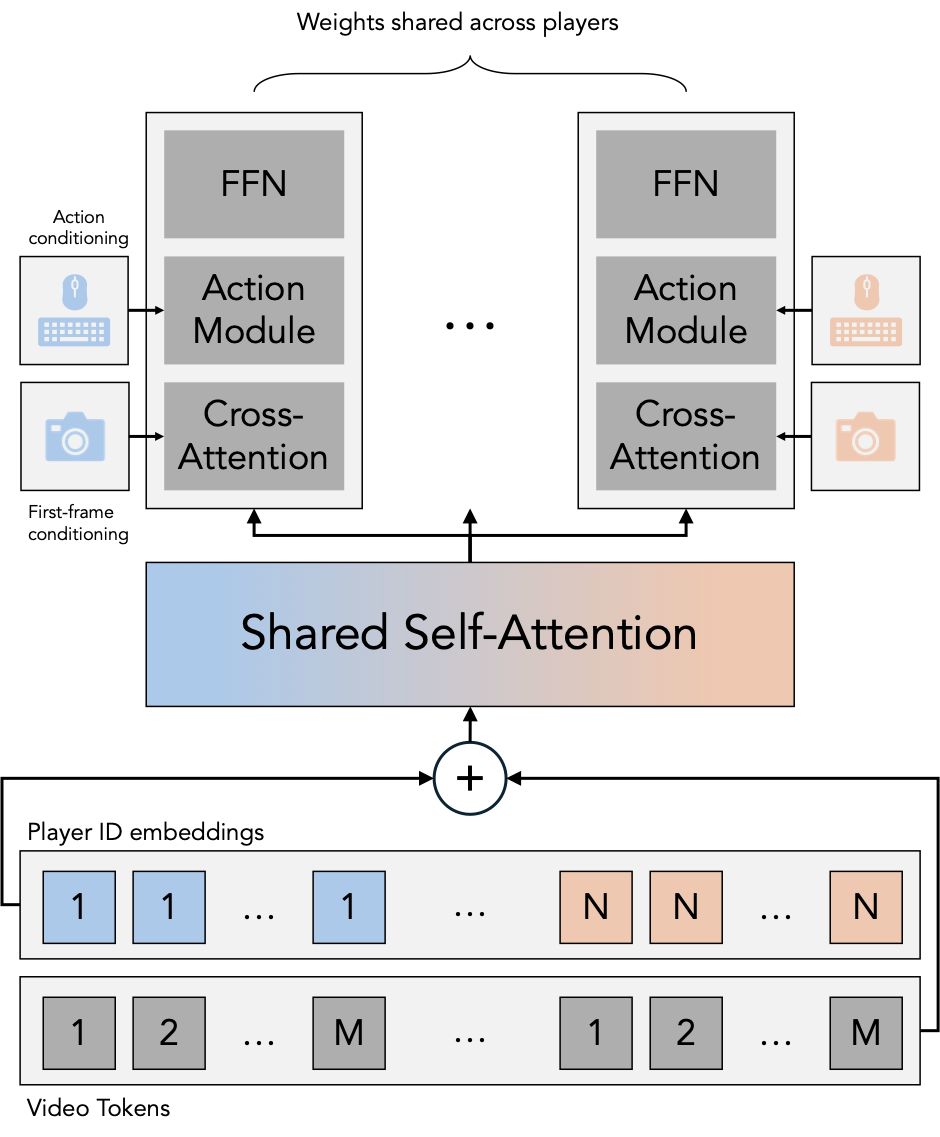 Solaris model architecture diagram showing modified DiT block with multiplayer interleaving